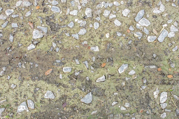 Kvarc kő és iszap vagy nedves barna talaj vagy folyékony szennyeződés — Stock Fotó