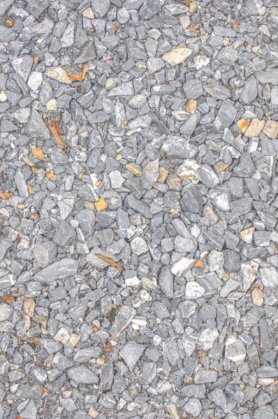 stone ground with dry leaf  background texture