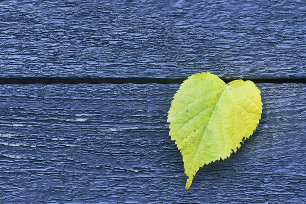 Tree leaf on wood — Stock Photo, Image