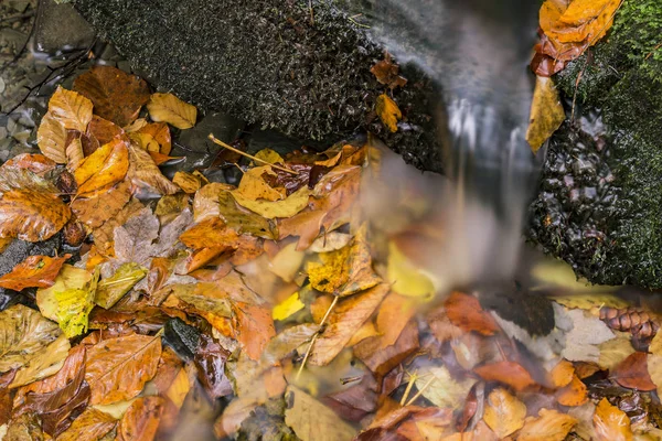 Pohled na podzimní vodopády — Stock fotografie
