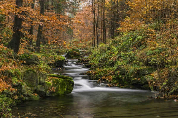 Vista de las cascadas de otoño — Foto de Stock