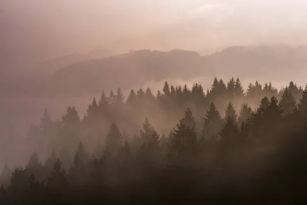 sisli yatay, ağaçlar