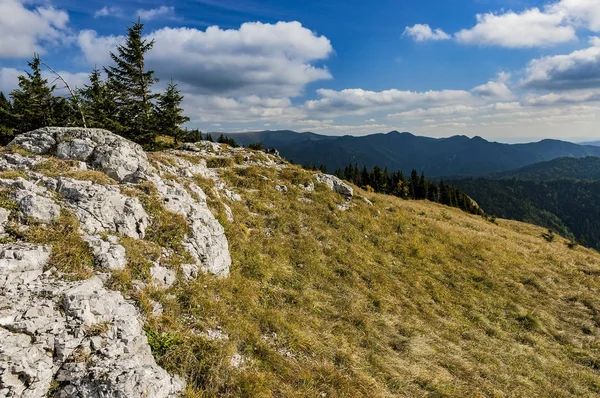 Φθινόπωρο στο μεγάλο Fatra, ενώ — Φωτογραφία Αρχείου