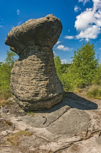 Камінь гриб, Чеська Республіка — стокове фото