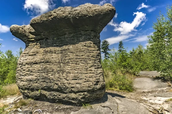 Cogumelo de pedra, República Checa — Fotografia de Stock