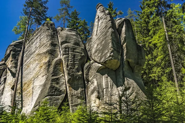 チェコ共和国 adrspach テプリツェ岩 — ストック写真