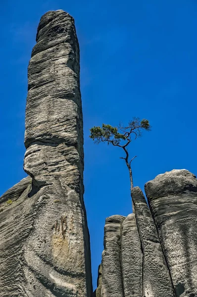 Adrspach-Teplice Rocks, Cseh Köztársaság — Stock Fotó