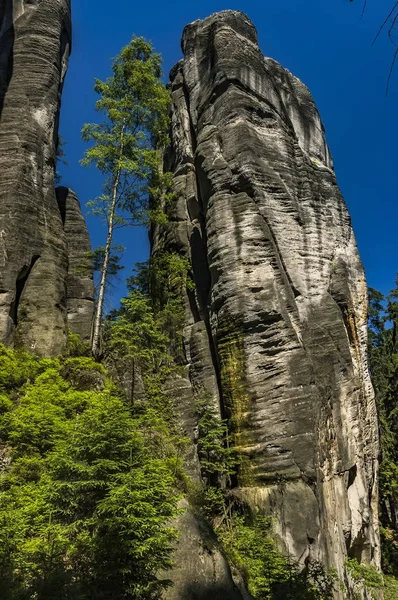 Adrspach-Teplice Rocks, Repubblica Ceca — Foto Stock