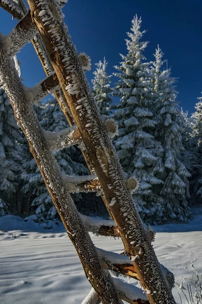 Деревянная лестница зимой — стоковое фото