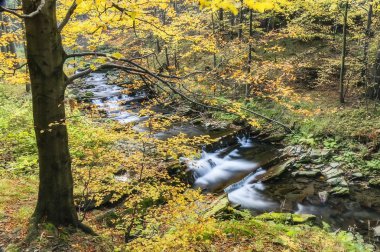 Sonbahar şelaleler görünümünü
