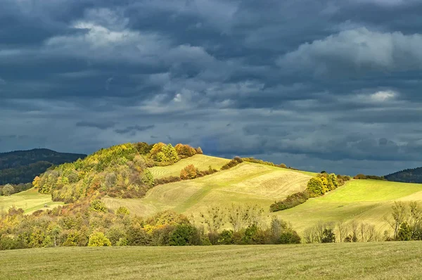 Herfst Landschap met bomen — Stockfoto