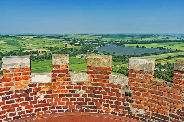 Vista de verano desde la torre —  Fotos de Stock
