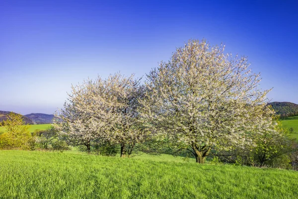 Mountainous country Czech Republic — Stock Photo, Image