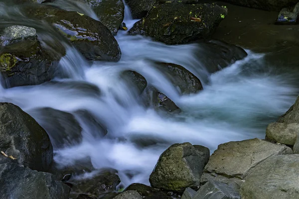 발리에서 흐르는 강 보기 — 스톡 사진