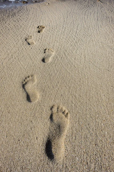 砂の中の人間の足跡 — ストック写真