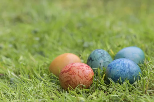Kolorowe jaja w trawie — Zdjęcie stockowe