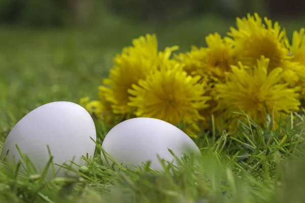 Witte eieren in het gras — Stockfoto