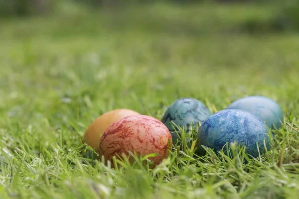 草の中の着色された卵 — ストック写真