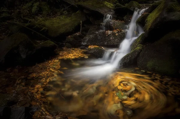 Autumn View Stream Waterfalls Stones — Stock Photo, Image