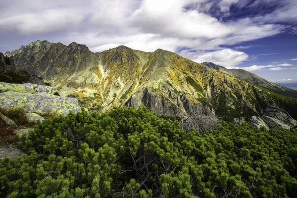 Hösten syn på soliga berg i Tatrabergen Stockbild