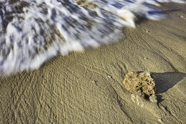 Pedra de coral na praia do mar — Fotografia de Stock