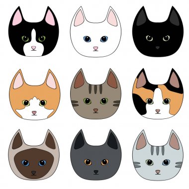 Sevimli küçük kediler kümesi