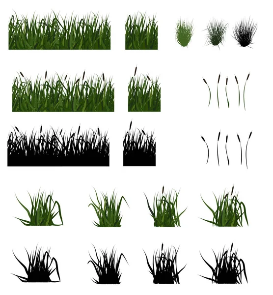 沼泽草和芦苇 — 图库矢量图片