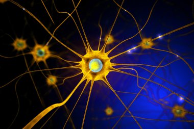 Yellow nerve cell