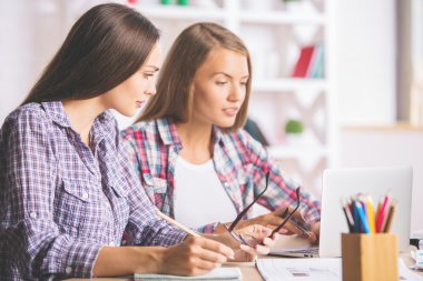 Proje üzerinde çalışan muhteşem iş kadınları