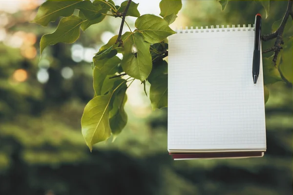 Empty notepad on green tree branch — Stock Photo, Image