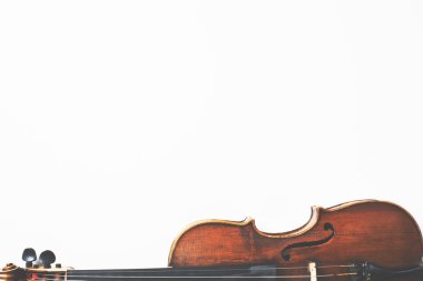 Violin on white background clipart