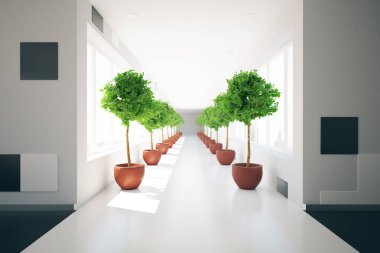 Koridor dekoratif bitkiler ile