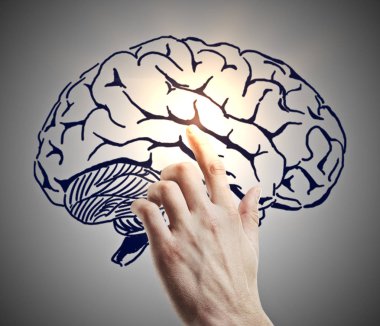 Çizim beyine gösteren bir el. Braintorming kavramı