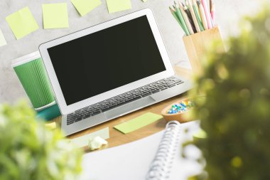 Boş dizüstü portre