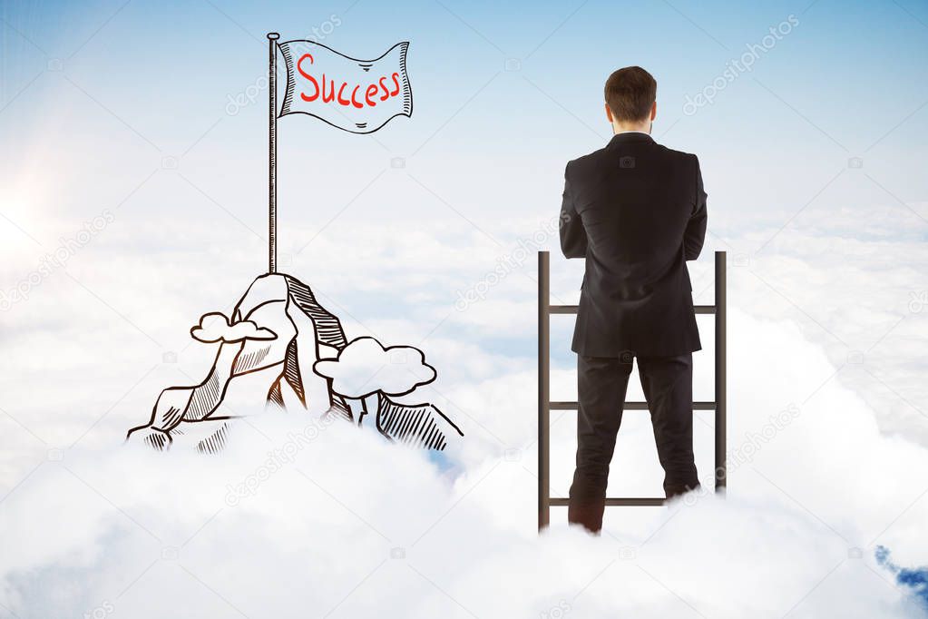 Back view of young businessman with creative mountain peak and flag sketch standing on top of ladder above clouds.