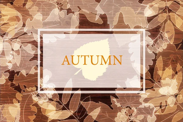Abstracte herfstachtergrond — Stockfoto