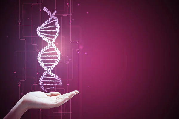 Mano sosteniendo ADN rosa — Foto de Stock