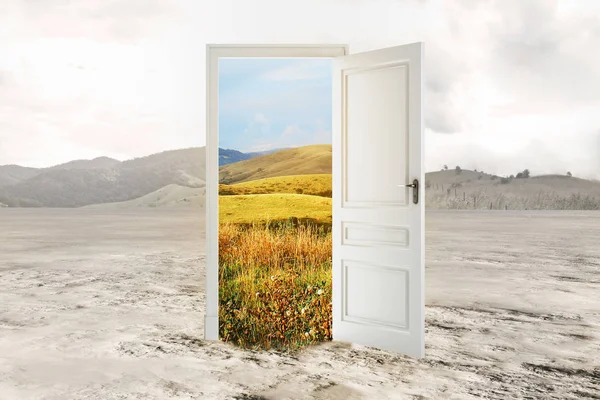 Astratto porta aperta con vista sul paesaggio estivo nel deserto. Concetto di opportunità. Rendering 3D — Foto Stock