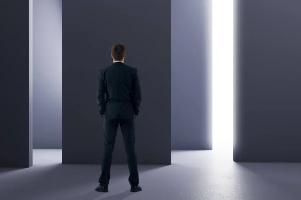 Vue arrière du jeune homme d'affaires en costume debout dans l'intérieur lumineux. Concept de recherche. Rendu 3D — Photo