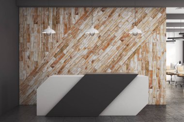 Boş duvar ile modern resepsiyonu 