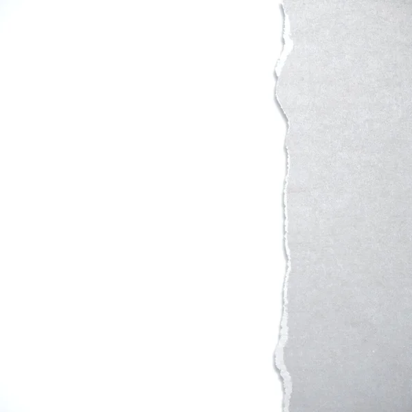 Papel rasgado e fundo branco — Fotografia de Stock