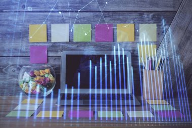 Çizelgeye, finansal bilgilere ve bilgisayar geçmişi olan çalışma alanına iki kez maruz kalmış. Uluslararası çevrimiçi ticaret kavramı.