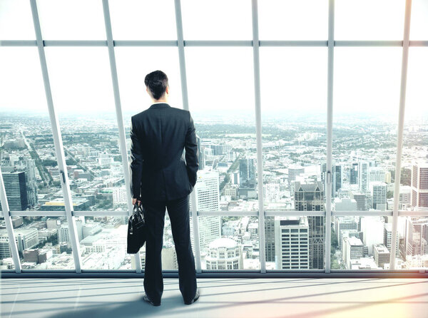 Businessman with case standing in office and looking to megapolis city view. Occupation and worker concept.