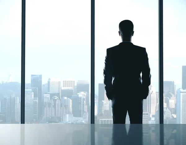 Ofisin Içinde Duran Bir Adamı Megapolis Şehir Manzarasına Bakıyor Meslek — Stok fotoğraf