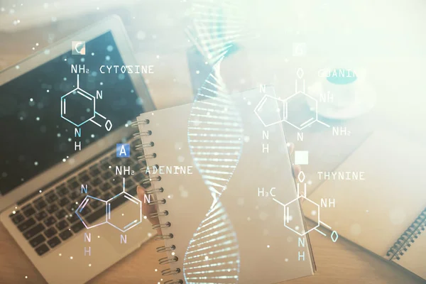 Dupla exposição das mãos da mulher digitando no computador e desenho do holograma de DNA. Conceito de educação médica . — Fotografia de Stock