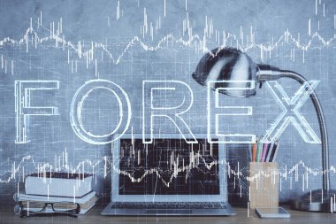 Çok sayıda şemaya, finansal bilgilere ve bilgisayar geçmişi olan çalışma alanına maruz kalmış. Uluslararası çevrimiçi ticaret kavramı.