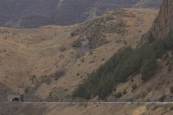 Georgia dağlarında seyahat bisikletçiler. Güzel doğa. Yaşam tarzı