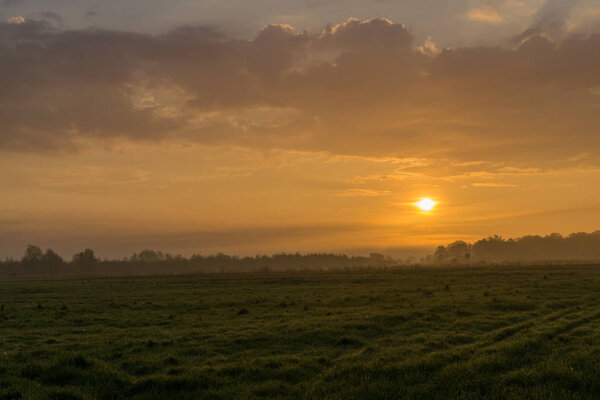 Nature protection area at sunrise and fog with dark clouds