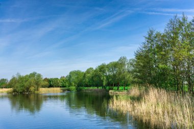 Doğa koruma alanı ile küçük bir göl güneş ve mavi gökyüzü, ağaçlar