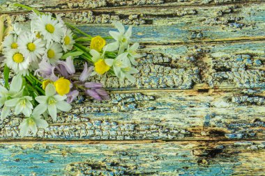 Renkli ahşap arka plan üzerinde beyaz güller